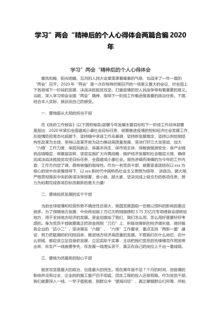 学习”两会“精神后的个人心得体会两篇合编2020年.docx
