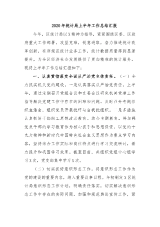 2020年统计局上半年工作总结汇报.docx