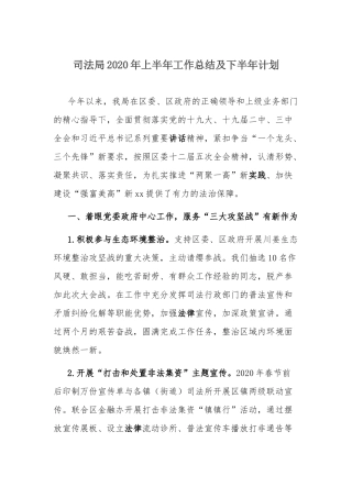 司法局2020年上半年工作总结及下半年计划.docx