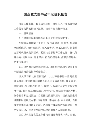 国企党支部书记年度述职报告.doc