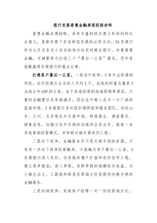 银行发展普惠金融典型经验材料.docx