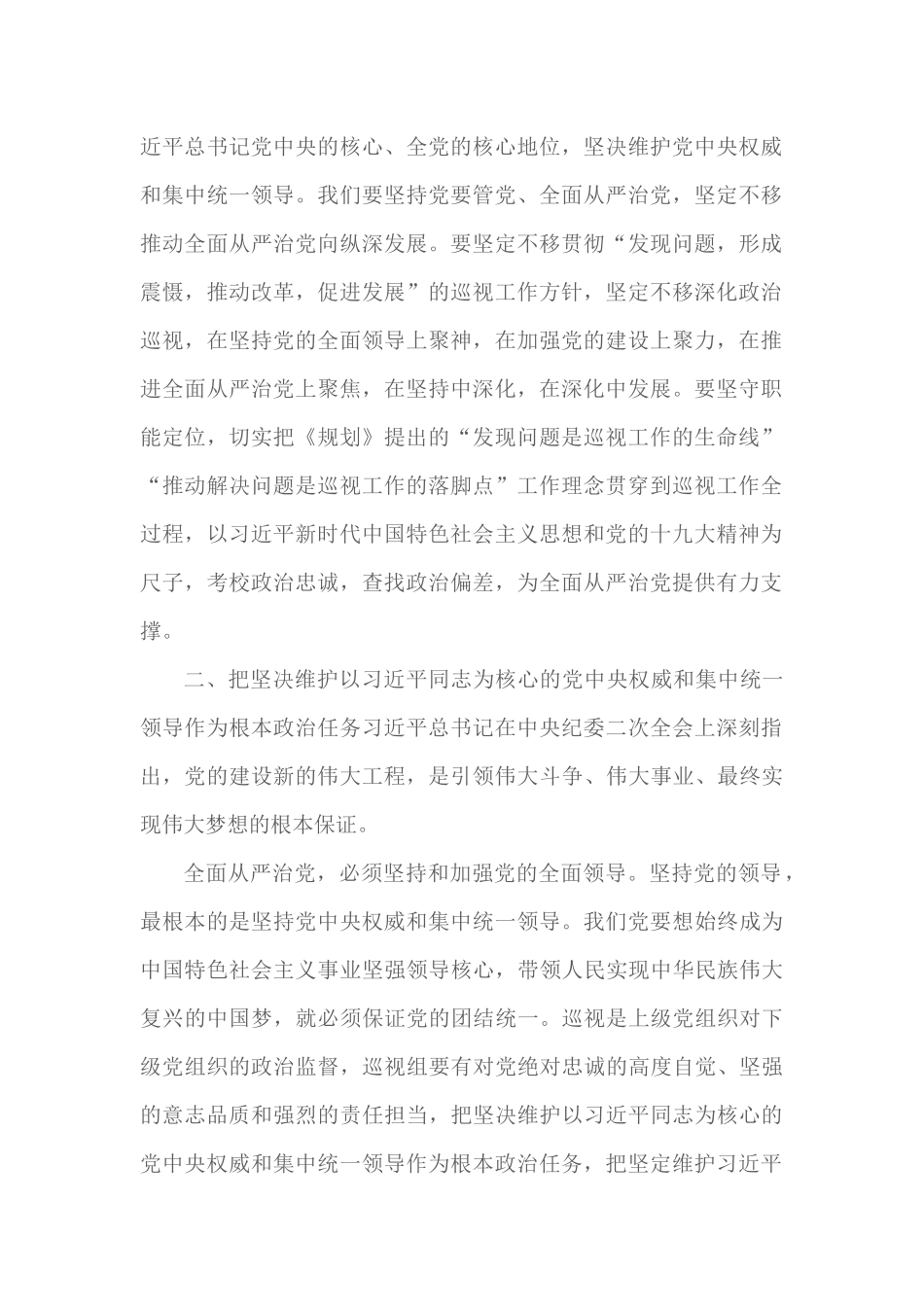 最新-2022年巡视整改工作规划计划.docx_第2页
