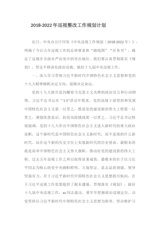 最新-2022年巡视整改工作规划计划.docx