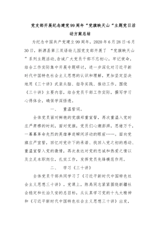 党支部开展纪念建党99周年“党旗映天山“主题党日活动方案.docx