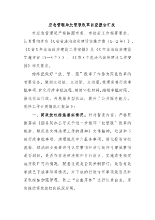 应急管理局放管服改革自查报告汇报.docx