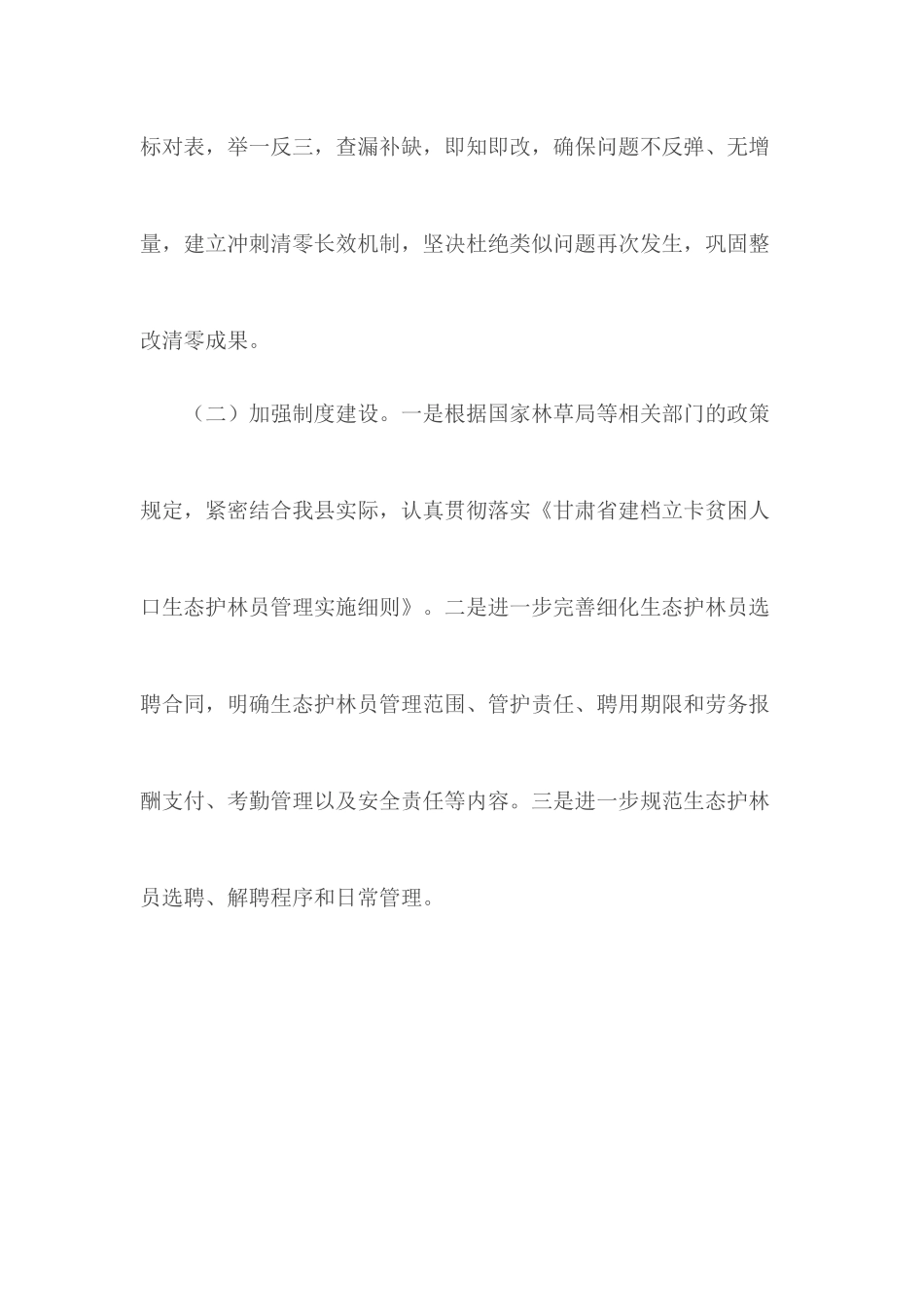 生态护林员项目冲刺清零后续行动方案.docx_第3页