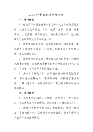 2020村干部管理制度办法.docx
