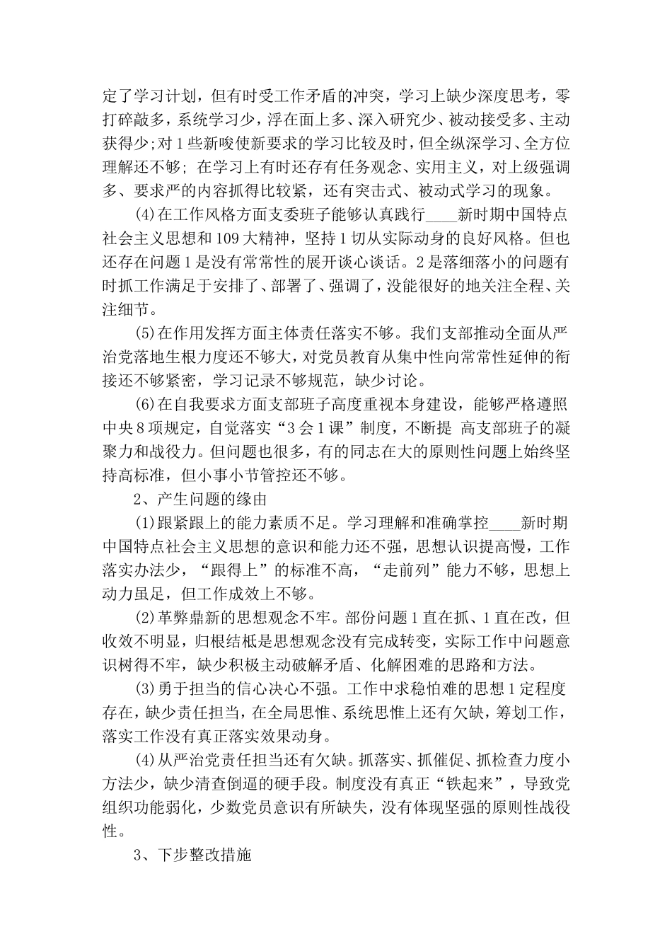 整理巡察整改党总支班子对照检查.doc_第2页