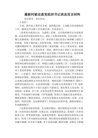 最新村被巡查党组织书记表态发言材料.doc
