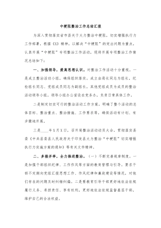 中梗阻整治工作总结汇报.docx