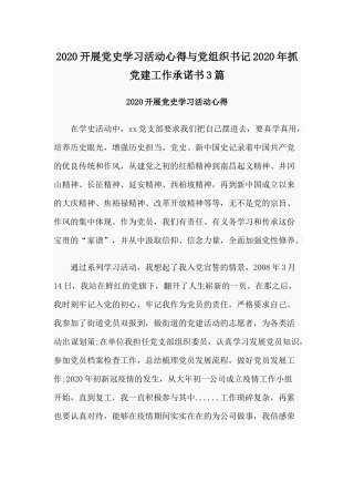 2020开展党史学习活动心得与党组织书记2020年抓党建工作承诺书3篇.docx