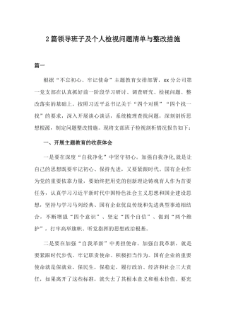 2篇领导班子及个人检视问题清单与整改措施.docx