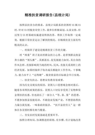 精准扶贫调研报告(县统计局).doc
