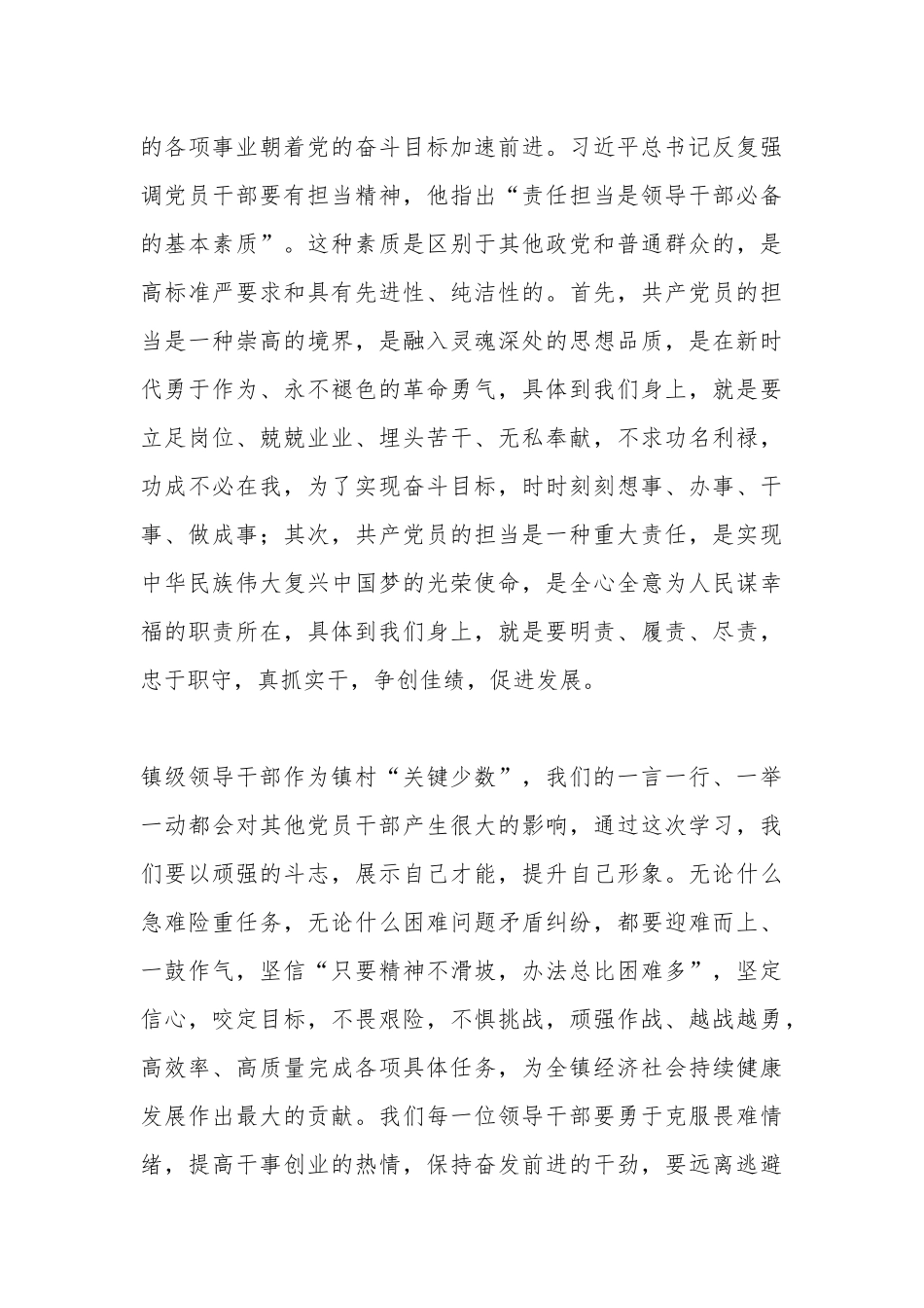 “加强党的政治建设和担当作为”专题交流研讨发言.docx_第3页