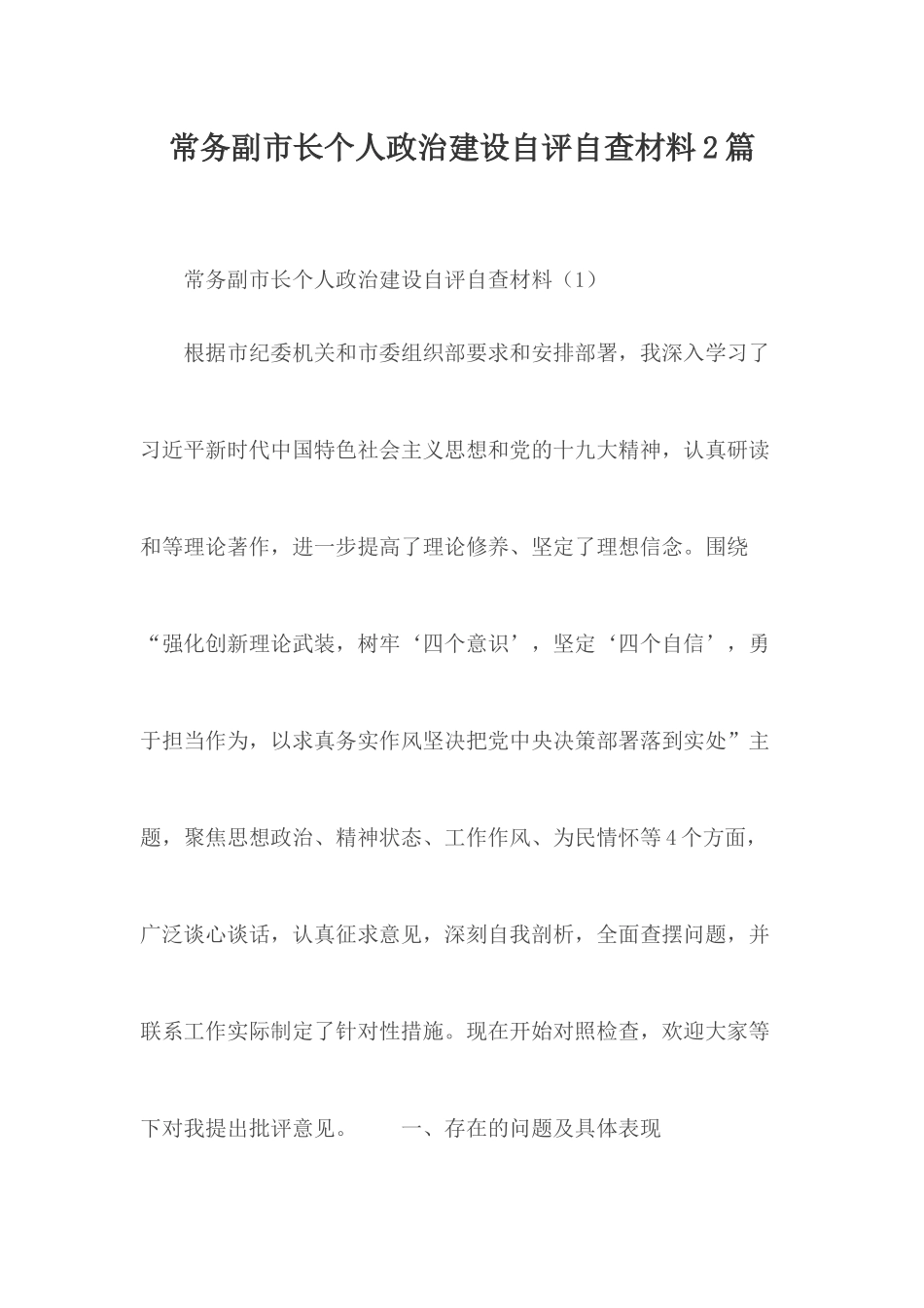 常务副市长个人政治建设自评自查材料2篇.docx_第1页