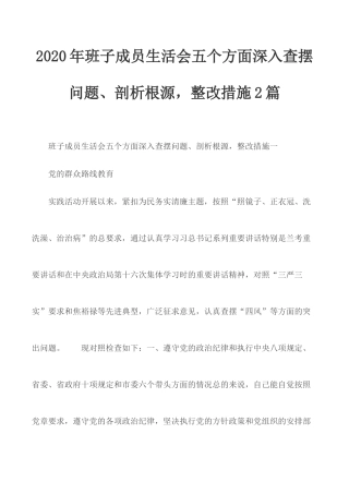 2020年班子成员生活会五个方面深入查摆问题、剖析根源整改措施2篇.docx