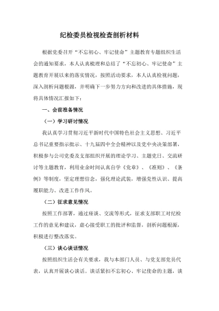 纪检委员检视检查剖析材料.docx