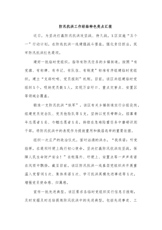 防汛抗洪工作经验特色亮点汇报.docx