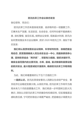防汛抗旱工作会议表态发言.doc