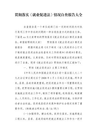 贯彻落实《就业促进法》情况自查报告大全.doc