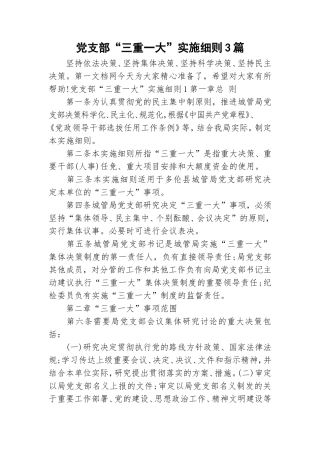 党支部“三重一大”实施细则3篇.doc