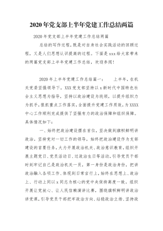 2020年党支部上半年党建工作总结两篇.doc