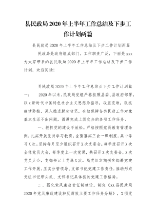县民政局2020年上半年工作总结及下步工作计划两篇.doc