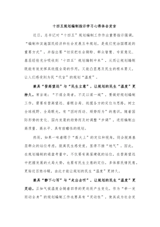 十四五规划编制指示学习心得体会发言2.docx