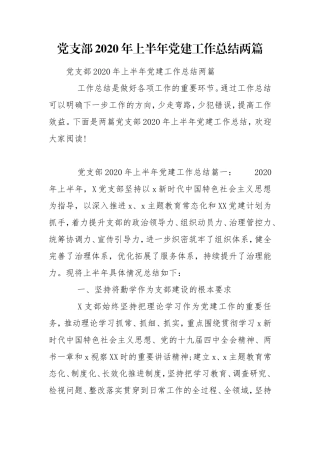 党支部2020年上半年党建工作总结两篇.doc