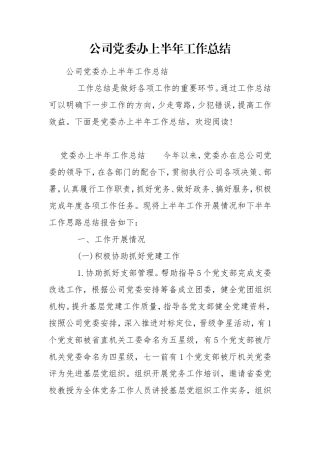 公司党委办上半年工作总结.doc