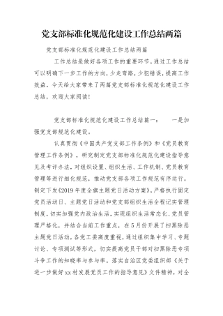 党支部标准化规范化建设工作总结两篇.doc