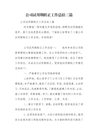 公司试用期转正工作总结三篇.doc