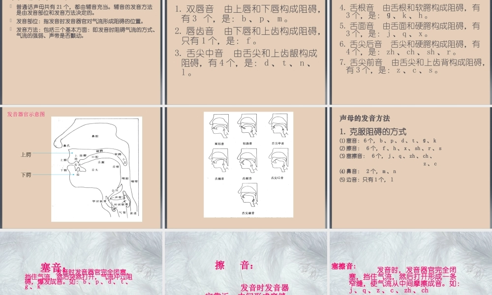 普通话水平考试考前培训课件PPT.ppt