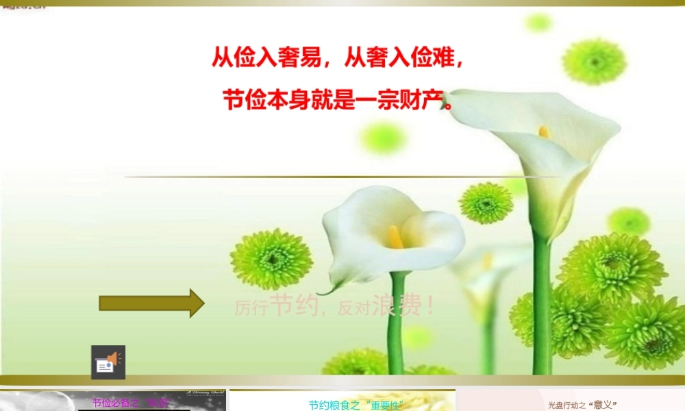 2020年厉行节俭反对浪费两套课件合编.pptx