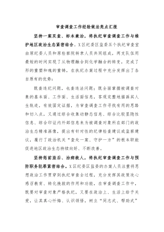 审查调查工作经验做法亮点汇报.docx