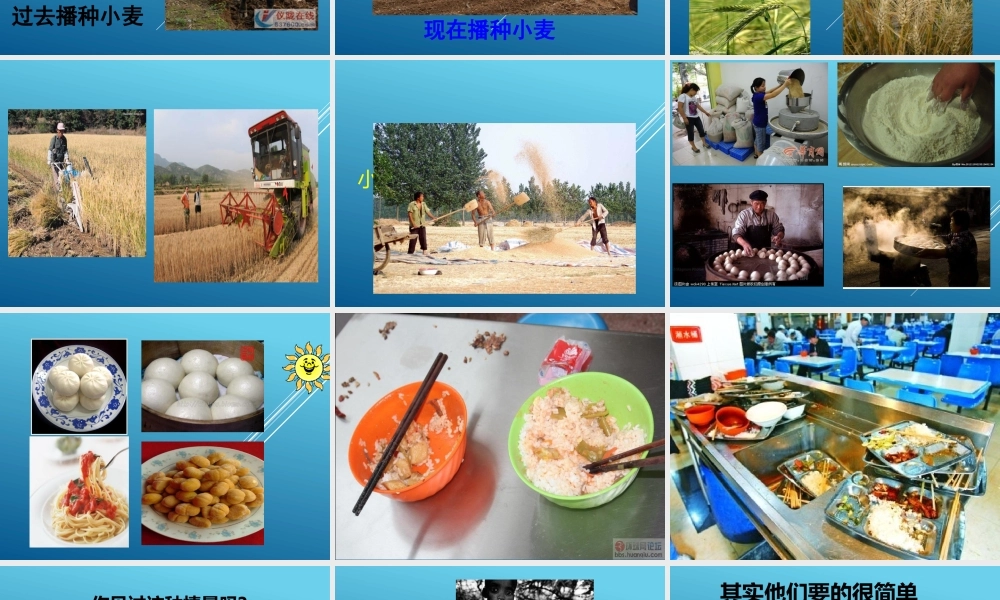 2020年《节约粮食、杜绝浪费》主题班会PPT课件.pptx