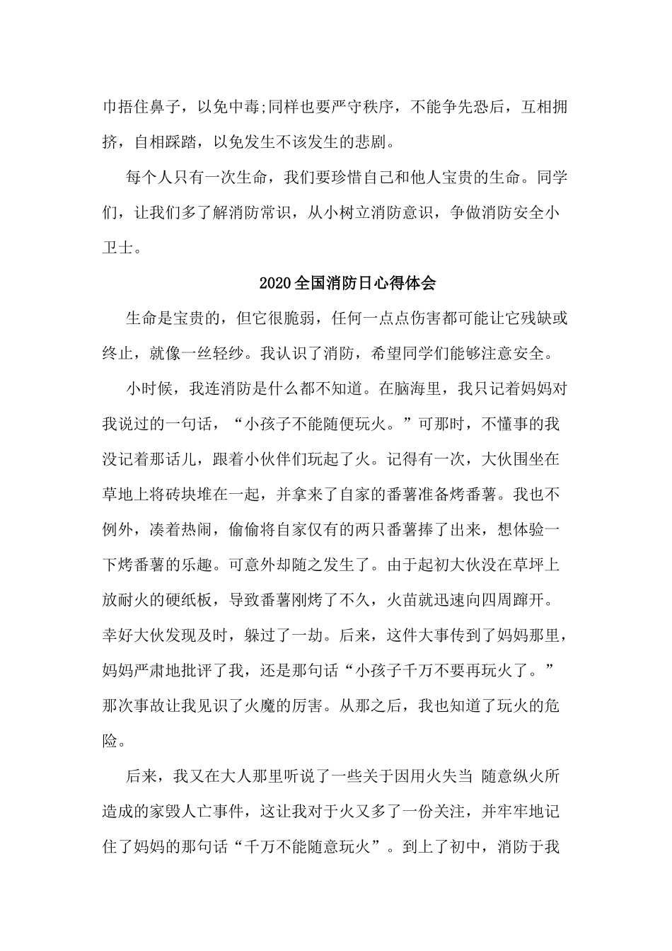 5篇2020全国消防日心得体会.docx_第2页