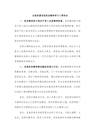 自然资源系统延安精神学习心得体会.docx