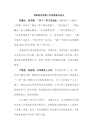 两新组织党建工作经验做法亮点.docx