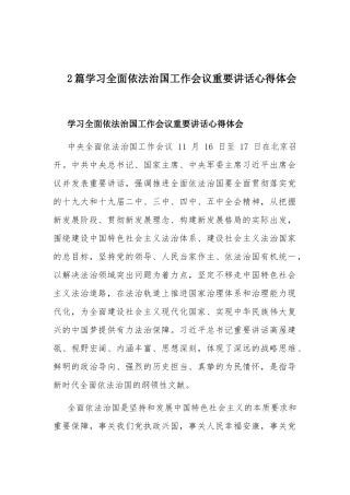 2篇学习全面依法治国工作会议重要讲话心得体会.docx