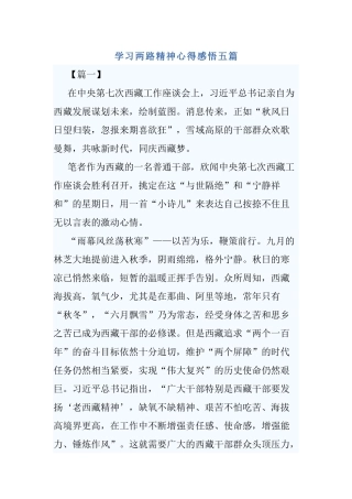 学习两路精神心得感悟五篇.docx
