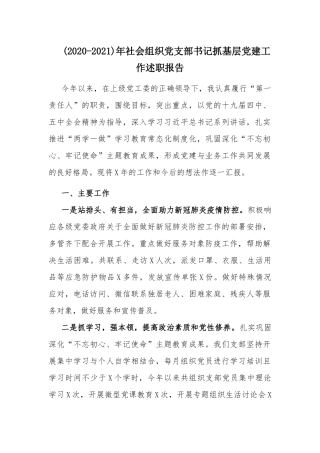 (2020-2021)年社会组织党支部书记抓基层党建工作述职报告.docx