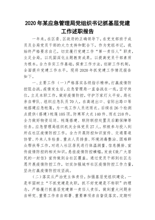 2020年某应急管理局党组织书记抓基层党建工作述职报告.doc