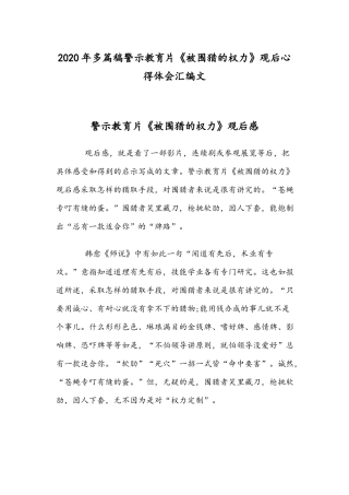 2020年多篇稿警示教育片《被围猎的权力》观后心得体会汇编文.docx