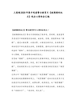 三篇稿2020年集中观看警示教育片《被围猎的权力》观后心得体会汇编.docx