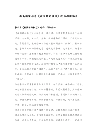 两篇稿警示片《被围猎的权力》观后心得体会.docx