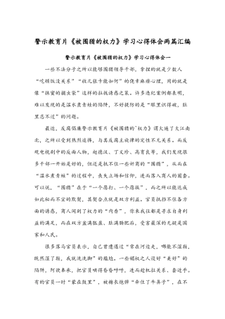 警示教育片《被围猎的权力》学习心得体会两篇汇编.docx