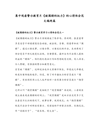 集中观看警示教育片《被围猎的权力》的心得体会范文稿两篇.docx
