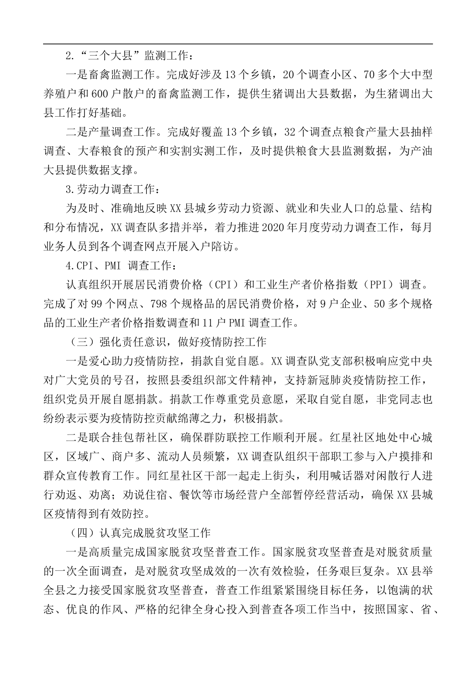 2020年国家统计局调查队工作总结范文.docx_第2页