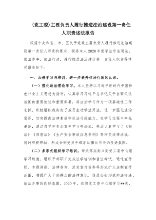 (党工委)主要负责人履行推进法治建设第一责任人职责述法报告.docx